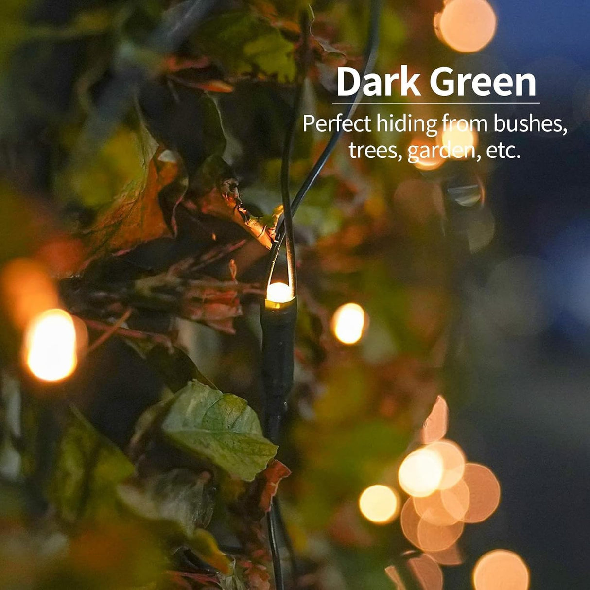 echosari 100 LED 5Ft x 5Ft Solar Net Lights(Warm White)