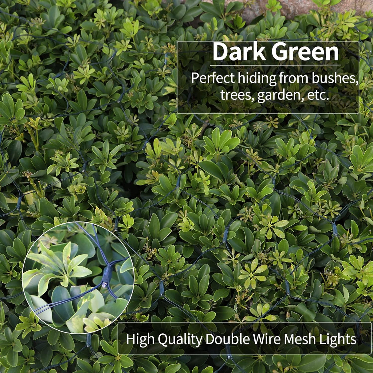 echosari 200 LED 9.8Ft x 6.6Ft  Solar Powered Net Lights(Cool White)