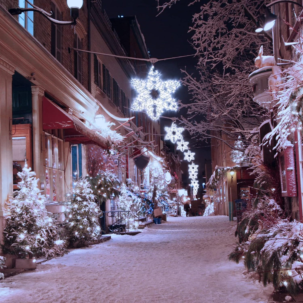 echosari 27" Christmas Big Snowflake Lights(Cool White)