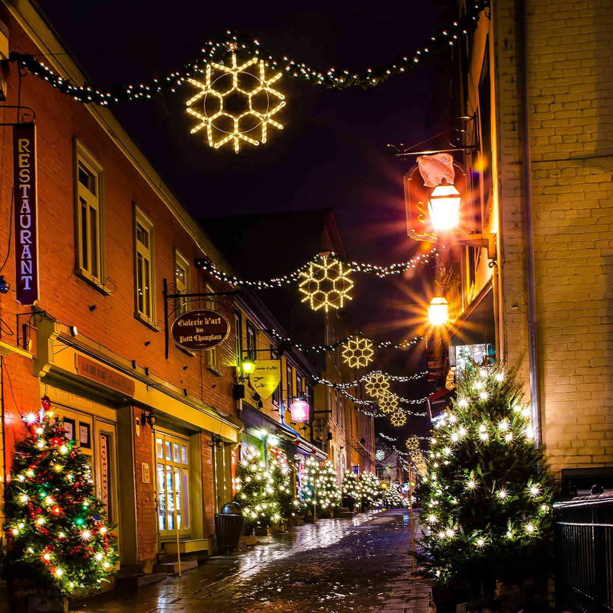 echosari 24-inch LED Christmas Snowflake Window Lights