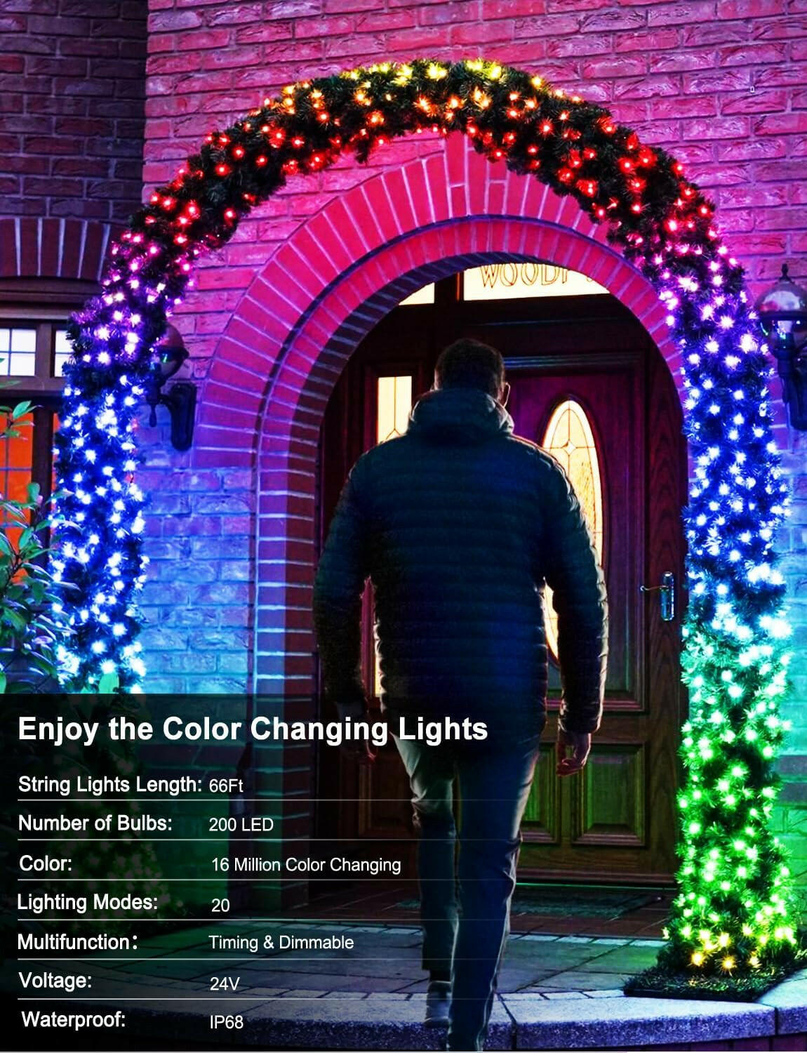 echosari Christmas Smart String Lights