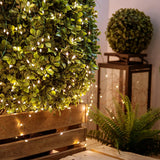 echosari 4 Pack Fairy Lights Battery Operated(Warm White)