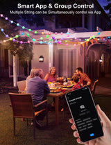 echosari Smart Globe String Lights