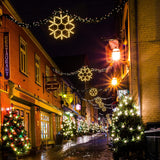 echosari 24-inch LED Christmas Snowflake Window Lights